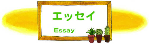 Essay